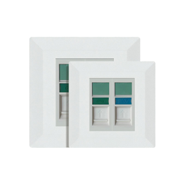 Faceplate 2 ports